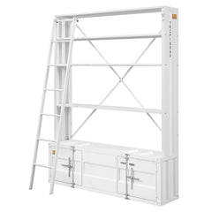 Cargo Bookcase W/Ladder – Metal Bookcase with Removable Ladder and Cargo Container Design