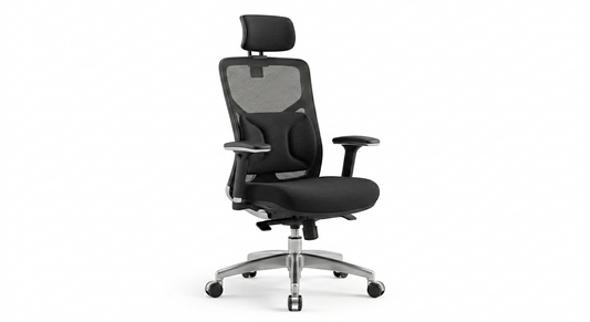 Veriton Ergonomic Mesh Office Chair